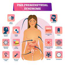 RECETTE 004 : Syndromes Prémenstruels Traitement Naturel Symptômes Menstruels