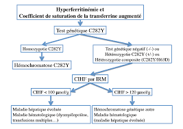 Hyperferritinémie Traitement Naturel Hyperferritinémie 