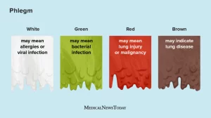 Remède 058 : Différents Types de mucus : Votre santé dépend de la couleur de votre mucus