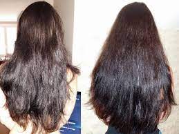 pousse-cheveux-crepus-astuces Remède 049 : Pousse de Cheveux Alopécie Capillaire Remède Naturel