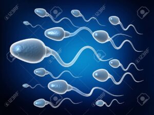 RECETTE 141 : Hypospermie, Traitement Naturel Insuffisance de sperme