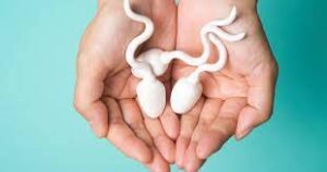 RECETTE 141 : Hypospermie, Traitement Naturel Insuffisance de sperme