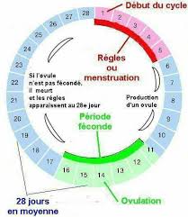 RECETTE 170 : Comment Comprendre son cycle menstruel et période d'ovules