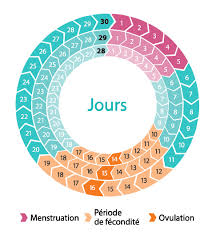 RECETTE 170 : Comment Comprendre son cycle menstruel et période d'ovules