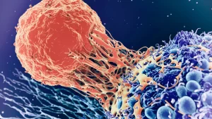 Comment guérir le Cancer symptomes et remède naturel, voila la solution et traitement définitive du cancer et vivre longtemps