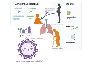 Solution Naturelle contre l'Infection Respiratoire due au Virus Syncytial