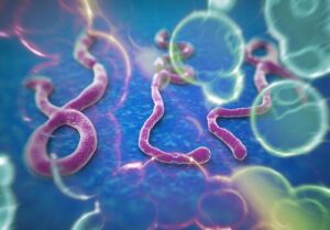 Comment Soigner le Virus Ebola Remède Naturel Virus Ebola?