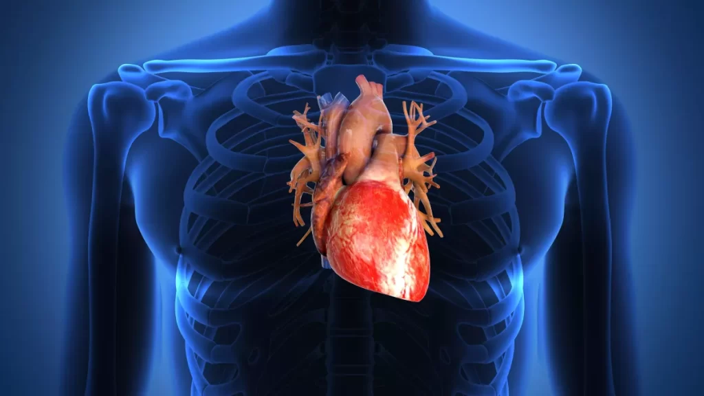 Prévenir et Soulager les Maladies Cardiaques Traitements Naturels