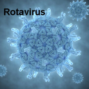 Quel antibiotique pour le rotavirus ?, Quelle maladie provoque le rotavirus ?, Comment detecter rotavirus ?, Comment administrer le rotavirus ?,