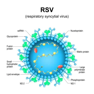  Solution Naturelle contre l'Infection Respiratoire due au Virus Syncytial