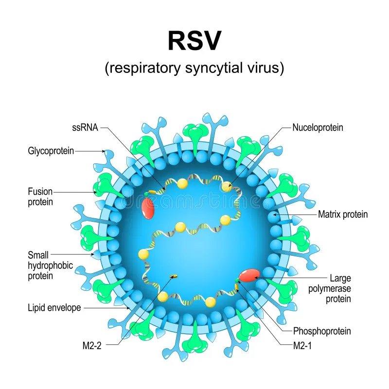 Voilà la Guérison des Infections à Virus Varicelle Zona