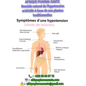 Remède Naturel et Efficace pour l'Hypotension Disponible sur Afrique Pharma Santé