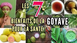 LES 7 BIENFAITS DE LA GOYAVE POUR SANTÉ