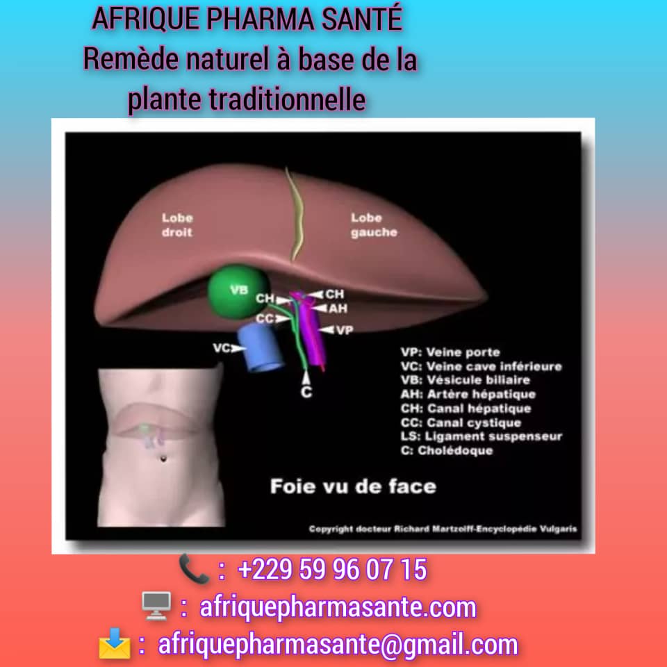 Blog sur la Maladie de Foie la Plus Récurrente : Découvrez un Traitement Naturel Efficace