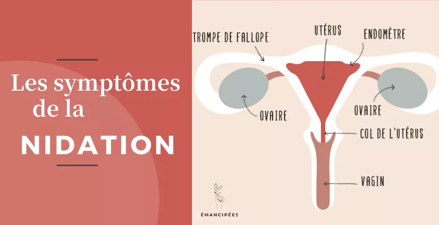 Comment se sent-on pendant la nidation ? 