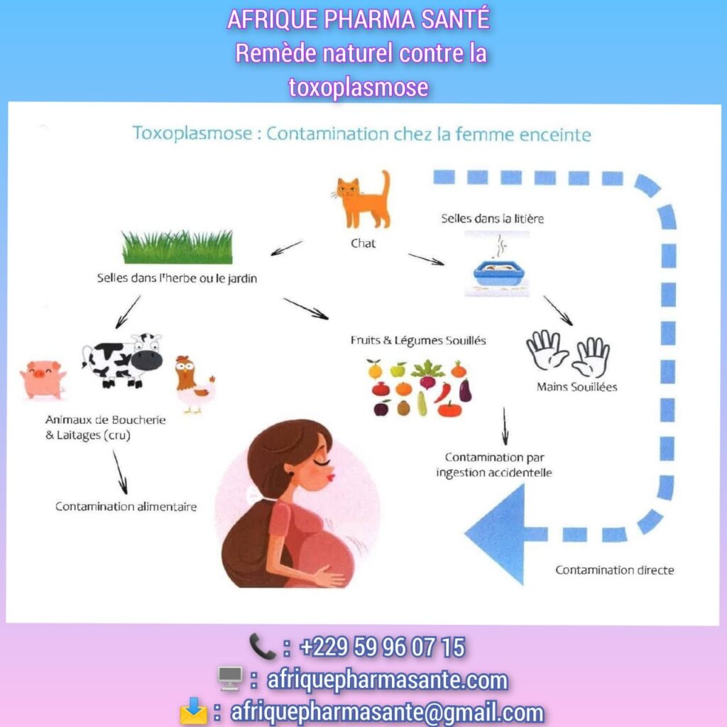 Comment soigner Toxoplasmose : Causes, Symptômes et Traitements Naturels Disponibles chez Afrique Pharma Santé