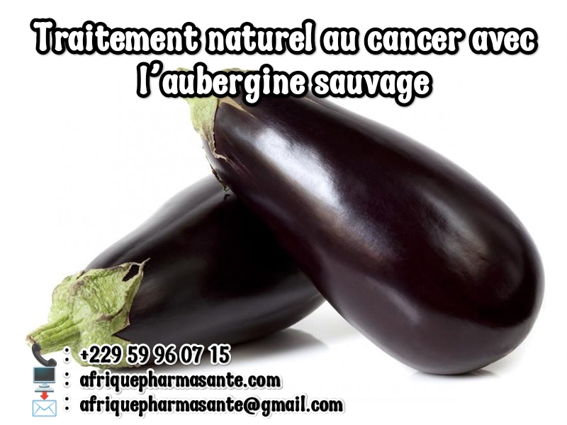 Traitement naturel au cancer avec l’aubergine sauvage