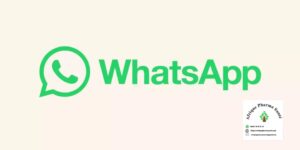 Cliquez ici pour nous joindre sur WhatsApp directement