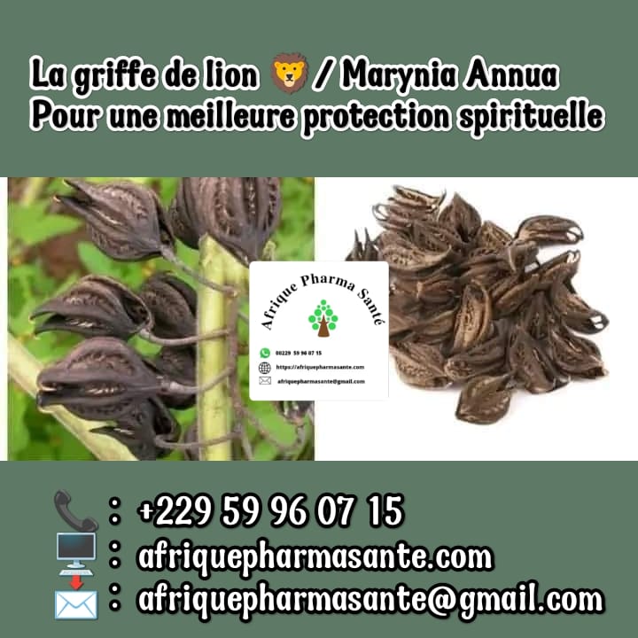 La Griffe de Lion pour la Protection Spirituelle et la Santé, le Trésor de la Médecine Africaine Traditionnelle pour la Protection