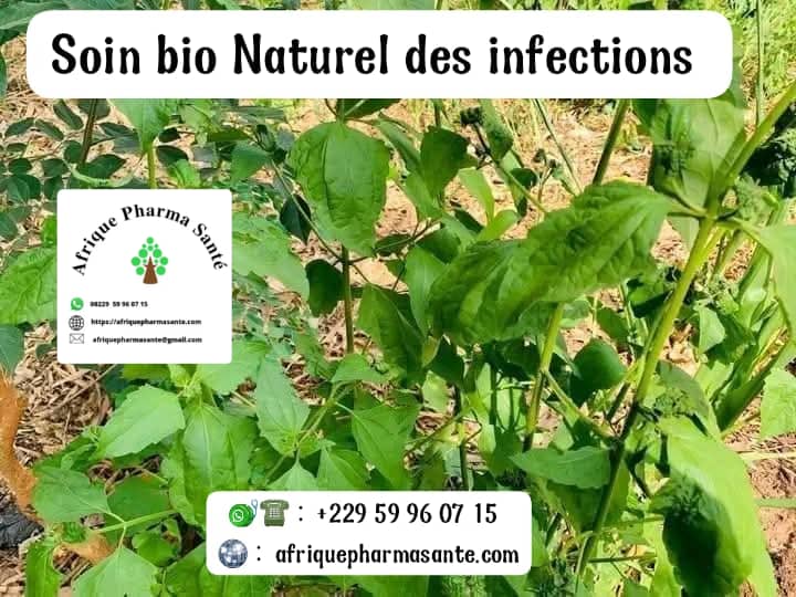 ASTUCES EFFICACES POUR TRAITER LES INFECTIONS AVEC LES REMÈDES NATURELS