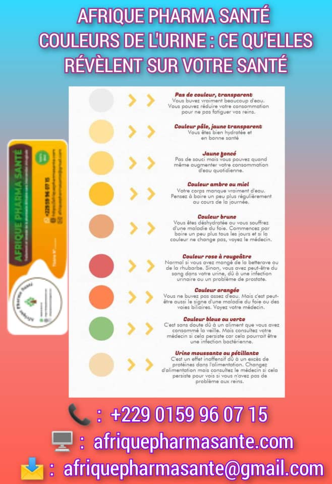 COULEURS DE L'URINE : CE QU'ELLES RÉVÈLENT SUR VOTRE SANTÉ