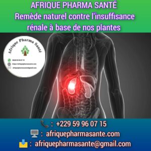 Insuffisance Rénale : Un Traitement Naturel Définitif Basé sur les Plantes Disponible chez Afrique Pharma Santé