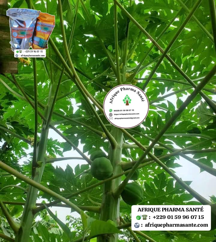 Comment utiliser La puissance des plantes