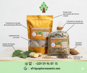 moringa-pour-traiter-et-guerir-hepatite-b